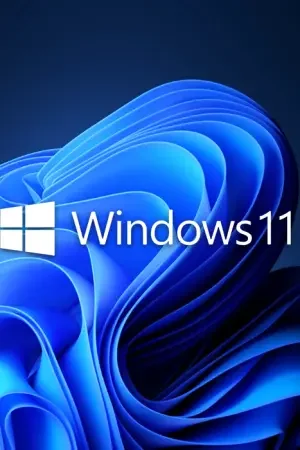 Windows 11 Pro